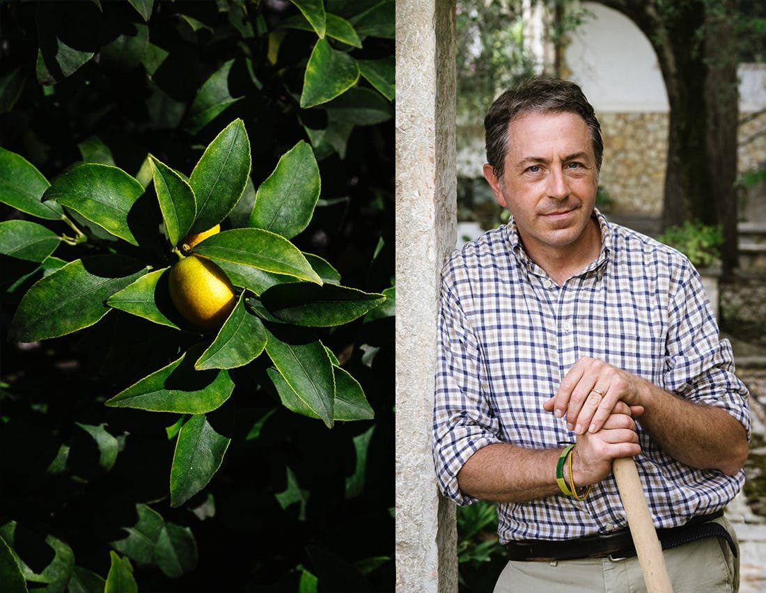 HOTEL GARDENIA AL LAGO FAMIGLIA ANDREA