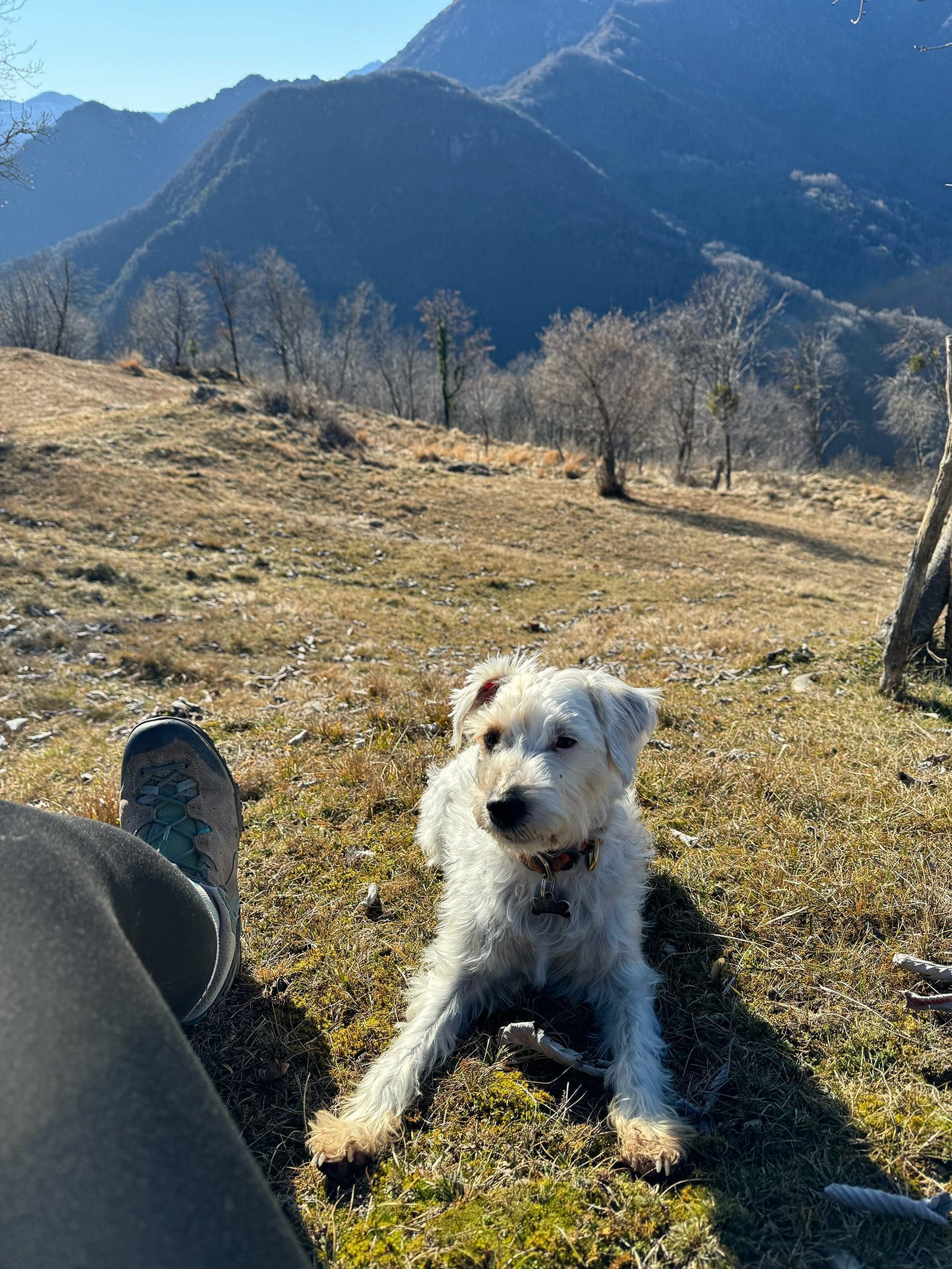 gardenia al lago post