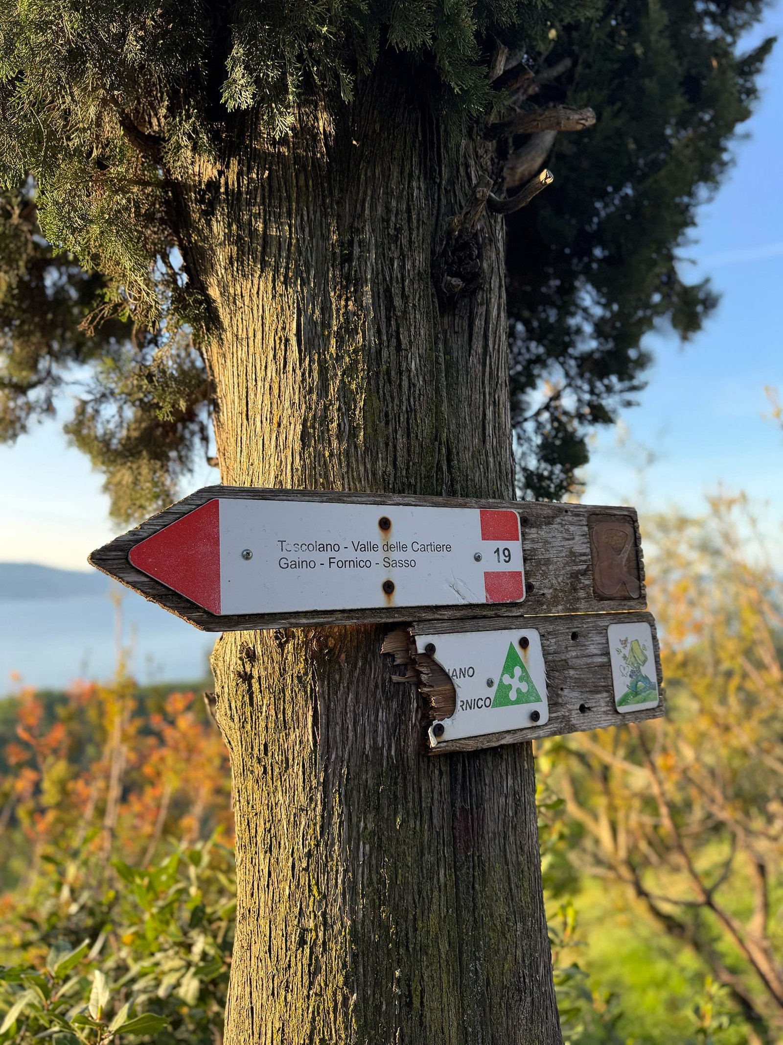 gardenia al lago post