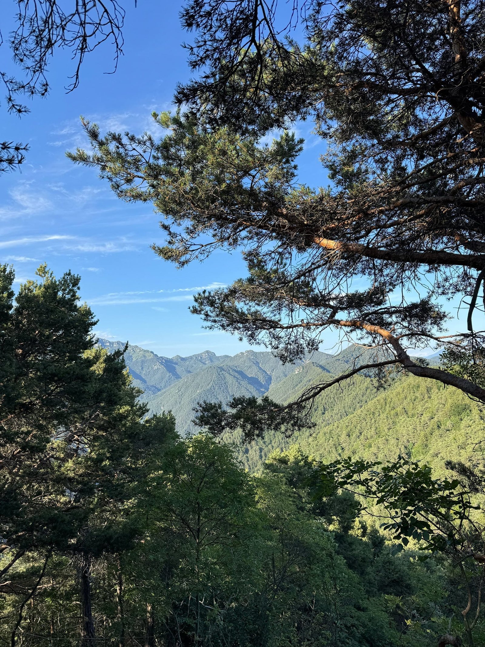 gardenia al lago post